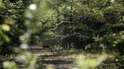 twd1104_scnet_0148.jpg