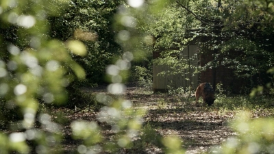 twd1104_scnet_0151.jpg