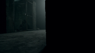 twd1104_scnet_1013.jpg