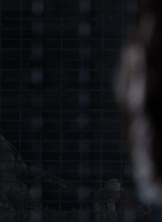 twd1104_scnet_0710.jpg