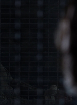 twd1104_scnet_0711.jpg
