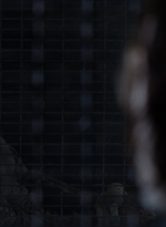 twd1104_scnet_0712.jpg