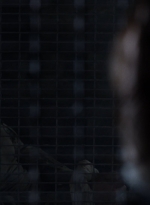 twd1104_scnet_0719.jpg