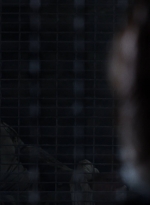 twd1104_scnet_0720.jpg