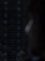 twd1104_scnet_0734.jpg