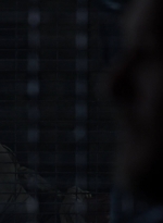 twd1104_scnet_0743.jpg