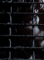 twd1104_scnet_0761.jpg