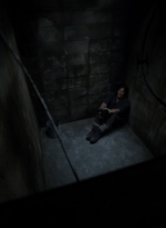 twd1104_scnet_0773.jpg