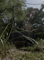 twd1105_scnet_0619.jpg