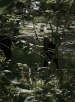 twd1105_scnet_0626.jpg