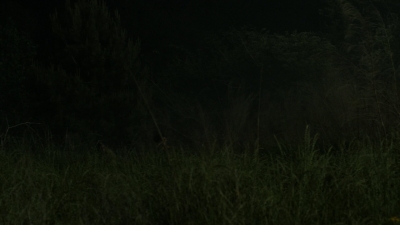 twd1106_scnet_0006.jpg