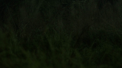 twd1106_scnet_0030.jpg