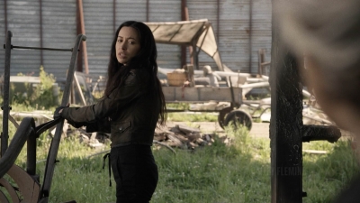 twd1106_scnet_0099.jpg