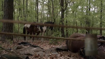 twd1106_scnet_0873.jpg