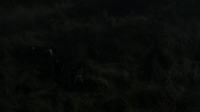 twd1106_scnet_1635.jpg