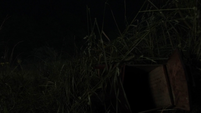 twd1106_scnet_1671.jpg