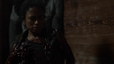 twd1106_scnet_1902.jpg