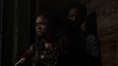 twd1106_scnet_1904.jpg