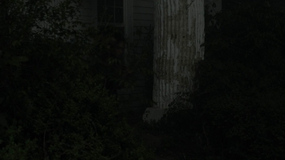 twd1106_scnet_1935.jpg