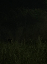 twd1106_scnet_0007.jpg