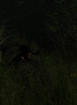 twd1106_scnet_0012.jpg