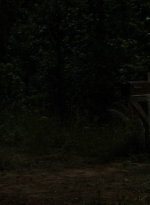 twd1106_scnet_0014.jpg