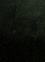 twd1106_scnet_0028.jpg