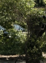 twd1106_scnet_0774.jpg