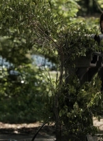 twd1106_scnet_0775.jpg