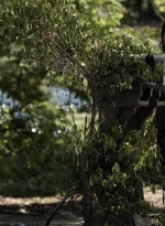 twd1106_scnet_0776.jpg
