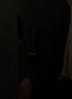 twd1106_scnet_1010.jpg