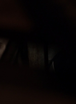 twd1106_scnet_1113.jpg