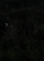 twd1106_scnet_1639.jpg