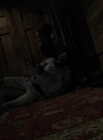twd1106_scnet_1870.jpg