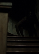 twd1106_scnet_1884.jpg
