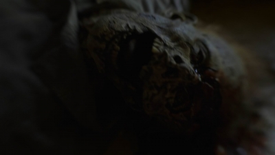twd1107_scnet_0248.jpg