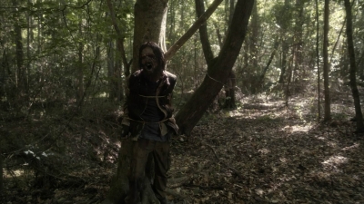 twd1107_scnet_0477.jpg