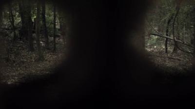twd1107_scnet_0726.jpg