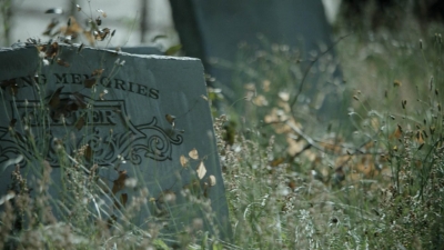twd1107_scnet_0835.jpg