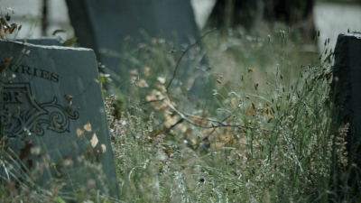 twd1107_scnet_0836.jpg