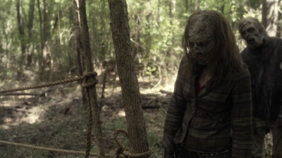 twd1107_scnet_1007.jpg