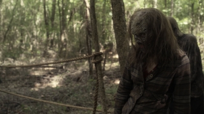 twd1107_scnet_1008.jpg