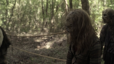 twd1107_scnet_1009.jpg