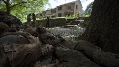 twd1107_scnet_1421.jpg