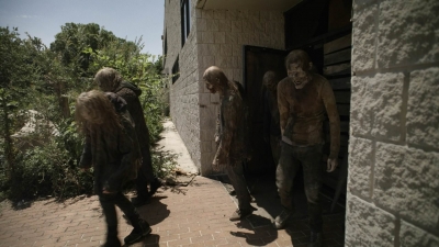 twd1107_scnet_1866.jpg
