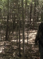 twd1107_scnet_0120.jpg