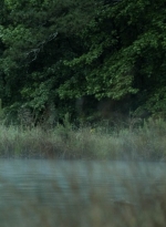 twd1107_scnet_0662.jpg