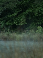 twd1107_scnet_0663.jpg
