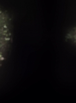 twd1107_scnet_0747.jpg