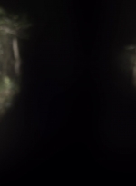 twd1107_scnet_0749.jpg